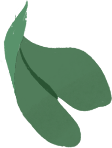 Au portrait s’ajoute l’illustration d’un MacBook Air avec des feuilles vertes sortant de l’écran.