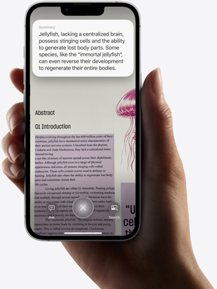 Hand holding iPhone 16e showing results of a search using visual intelligence.