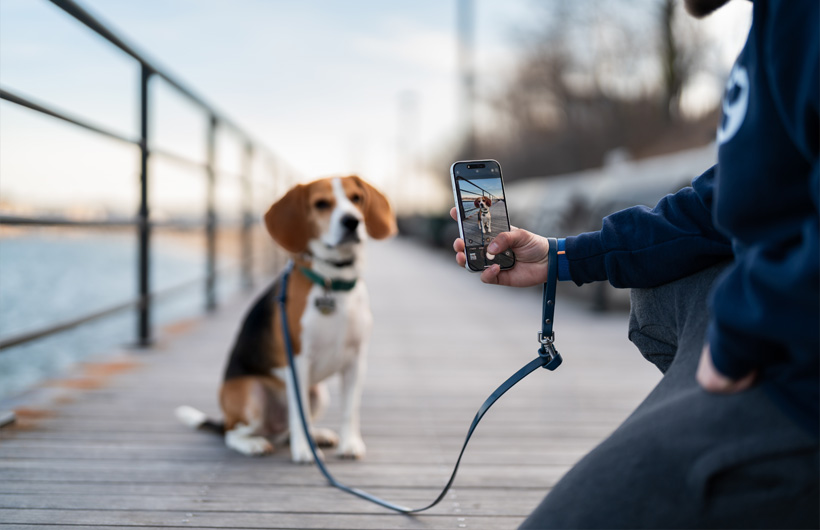 Wyjątkowa jakość aparatu iPhone’a sprawia, że raporty dla właścicieli zwierzaków wyglądają jeszcze lepiej.