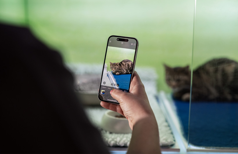 Die Pflegekräfte versenden mit dem iPhone regelmässig aktuelle Fotos der Haustiere, um die Besitzer:innen zusätzlich zu beruhigen.