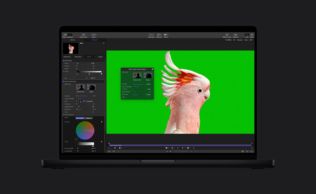 MacBook Pro 16, pink cockatoo on green screen, demo of Chroma Key