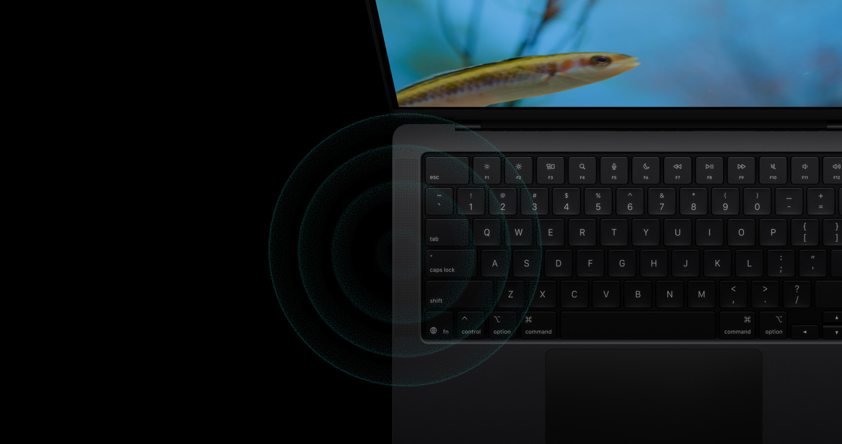 pv audio fallback alt